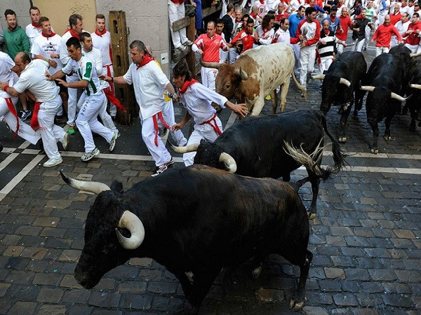 Lễ hội bò tót San Fermin 