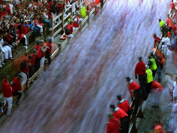 Người dân nhốn nháo chạy khỏi đàn bò