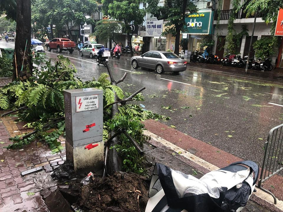 (Ảnh: Nhóm PV/Vietnam+)