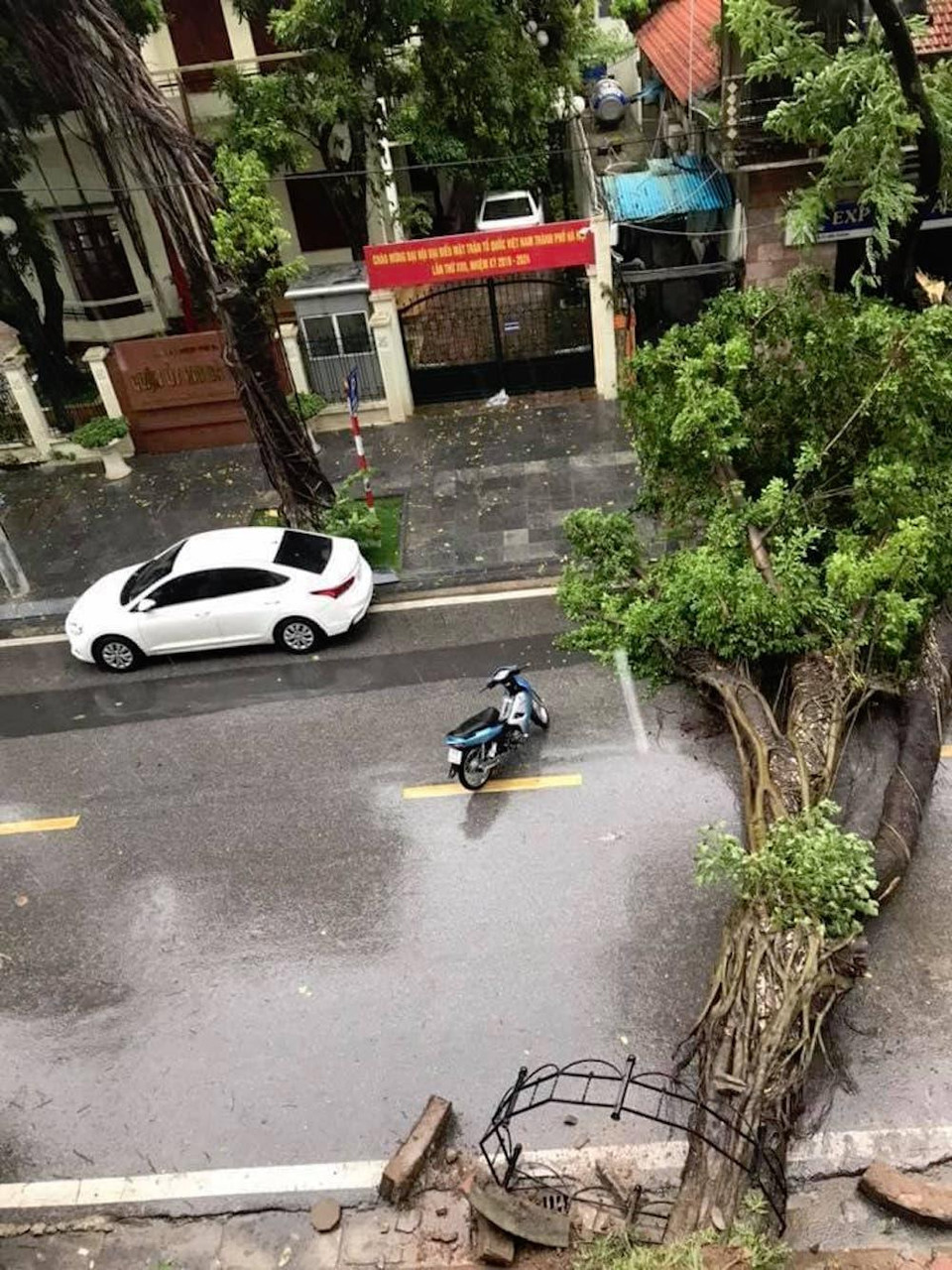 Một cây xà cừ cỡ lớn bị đổ ra ngang đường Tô Hiến Thành. (Ảnh: Nhóm PV/Vietnam+)