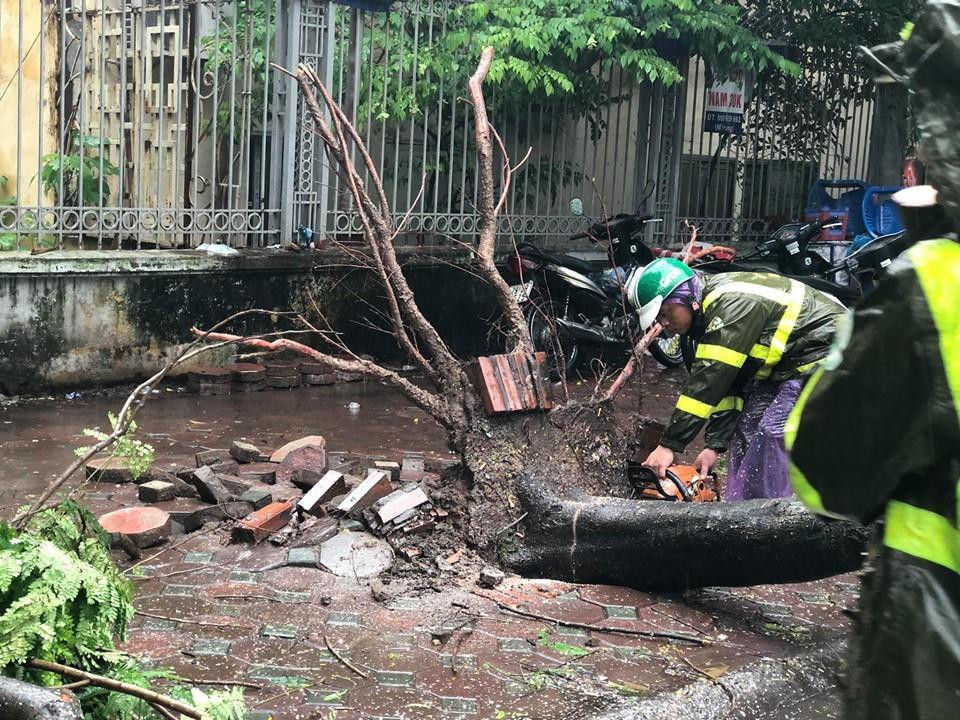 Công nhân Công ty cây xanh môi trường đội mưa xử lý cây bị đổ trên đường Trần Đại Nghĩa. (Ảnh: Nhóm PV/Vietnam+)