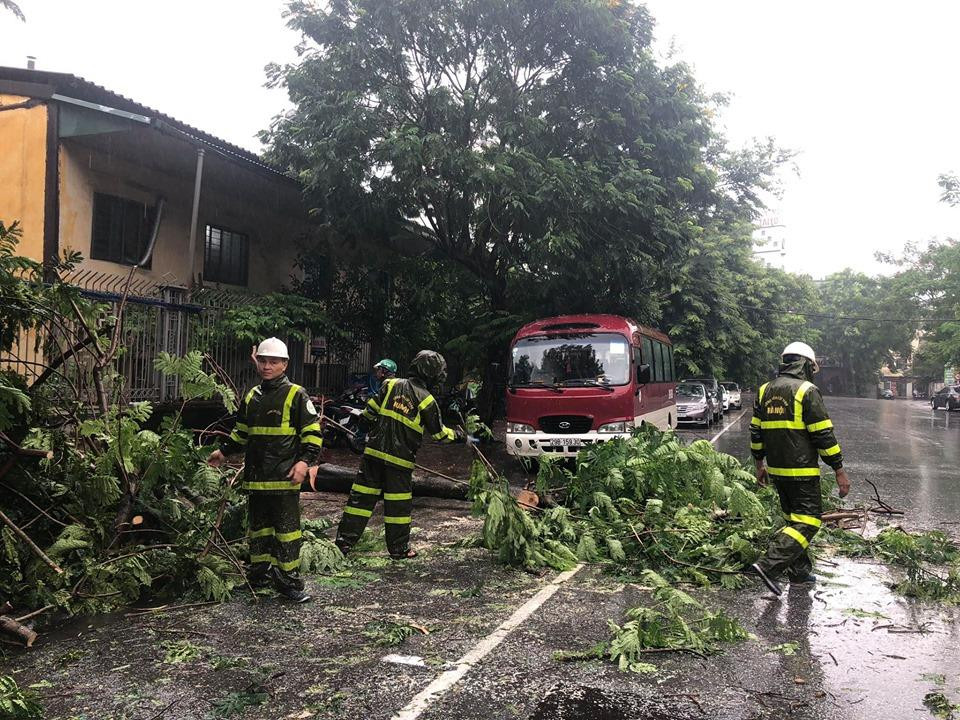  (Ảnh: Nhóm PV/Vietnam+)