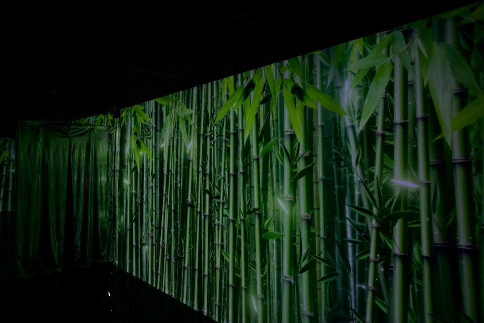 Khách tham quan hòa mình vào thiên nhiên với rừng tre Cao Bằng, thác Bản Giốc bằng công nghệ trình chiếu âm thanh, ánh sáng hiện đại. (Ảnh: Tuấn Anh/Vietnam+)