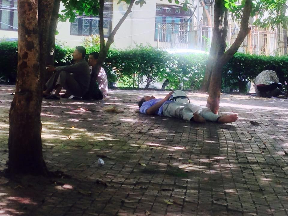 Tại điểm thi thuộc Đại học Sư phạm, một phụ huynh nằm thẳng đượt trong vườn hoa dưới cái nóng như thiêu đốt ở thủ đô Hà Nội. (Ảnh Sơn Bách/Vietnam+)