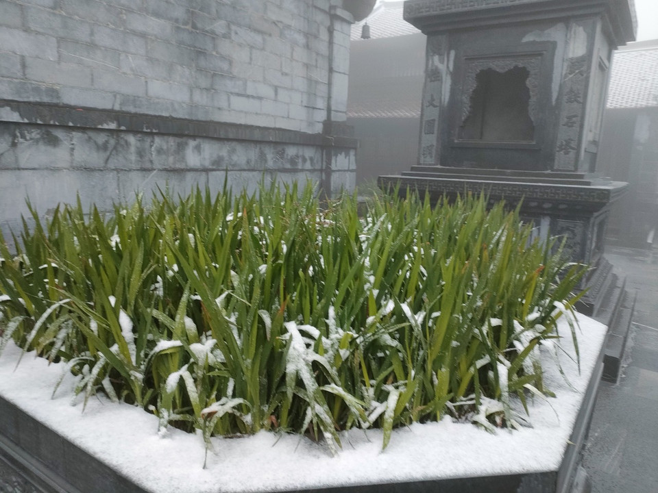 Đoàn khách tới tham quan đỉnh Fansipan sáng sớm nay là những người đầu tiên chiêm ngưỡng khung cảnh ấn tượng này trong đợt mưa tuyết cuối năm nay. (Ảnh: CTV/Vietnam+)