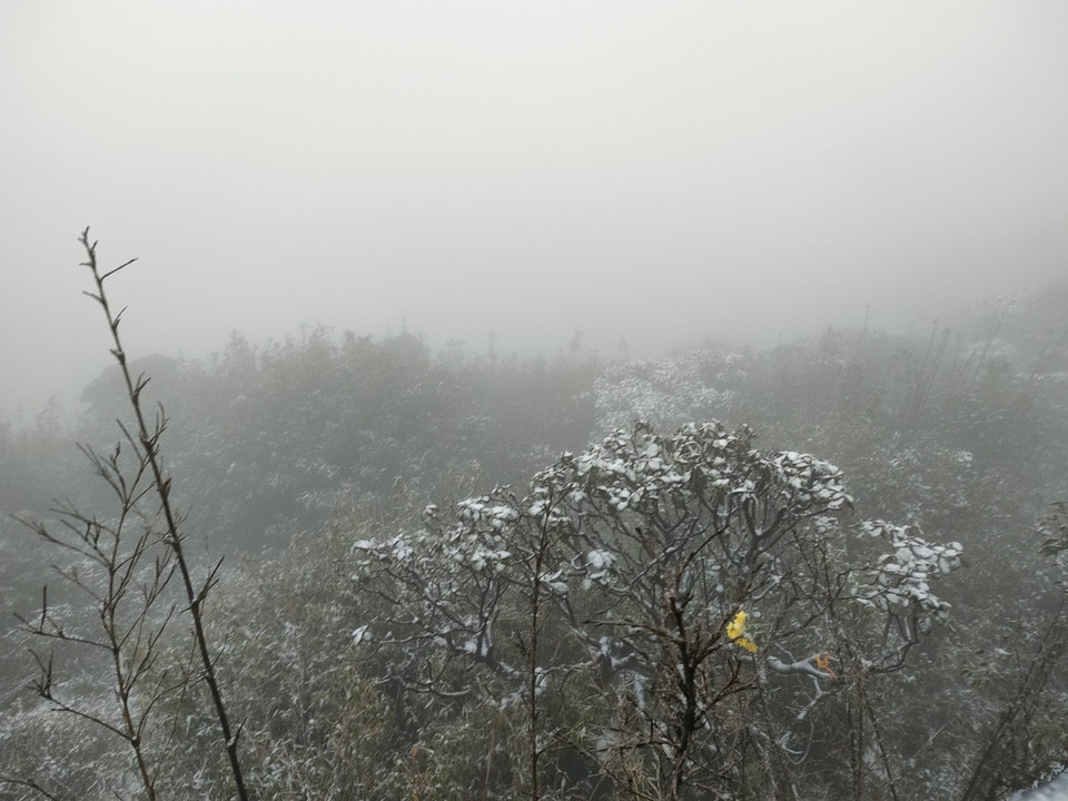 Du khách muốn ngắm tuyết có thể cân nhắc lên lịch tới Fansipan trong những ngày tiếp theo. (Ảnh: CTV/Vietnam+)