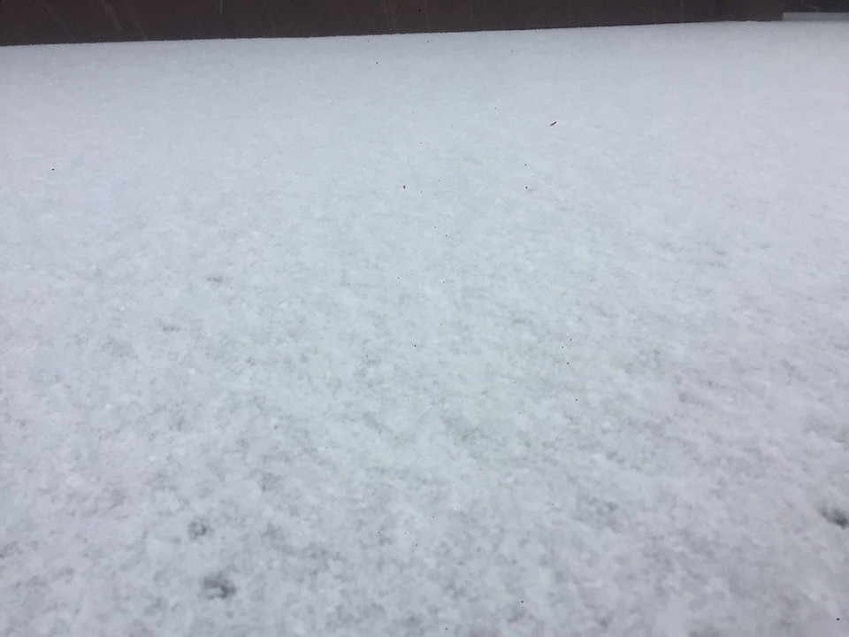 Với tuyết rơi dày, độ ẩm tại đây được ghi nhận đạt mức trên 30%. (Ảnh: CTV/Vietnam+)