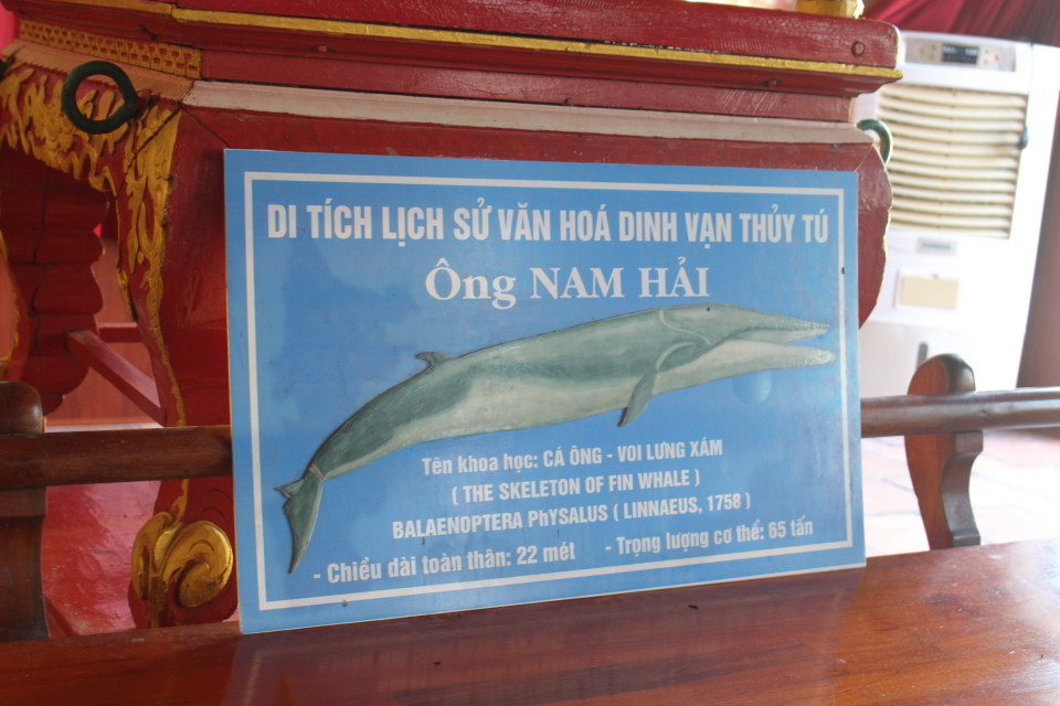 Hơn 100 năm về trước, làng chài Thủy Tú trở thành nơi yên nghỉ của một cá voi rất lớn, dài tới 22 mét. Người dân làm lễ, cúng bái rồi chôn cất ''ông'' trên bờ biển, chờ nhiều năm đến khi rã hết phần mềm, chỉ còn bộ xương thì đem vào lưu trữ trong Dinh. (Ảnh: Minh Anh/Vietnam+)