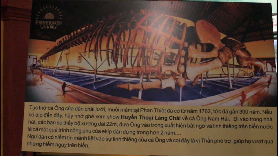 Với kích thước khổng lồ như vậy, nếu khách tham quan đứng trong nhà trưng bày thì không thể nhìn thấy toàn thể bộ cốt. Để làm được việc đó, người ta phải xem ảnh chụp bộ xương bằng một góc máy rộng. (Ảnh: Minh Anh/Vietnam+)