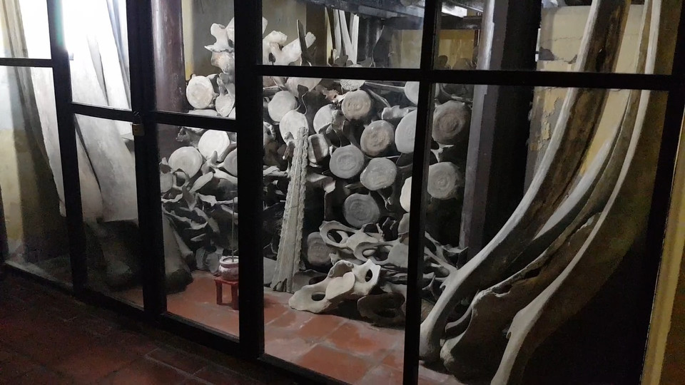 Phía sau khu thờ tự chính là tẩm, hay được gọi là bảo tàng chứa hơn 100 bộ cốt cá ông. Từ ngoài, khách tham quan có thể thấy loạt xương quai hàm được dựng dựa vào tường, các hộp sọ cá nhỏ và các đốt xương sống được chất trên đất hoặc kệ cao hơn. (Ảnh: Minh Anh/Vietnam+)