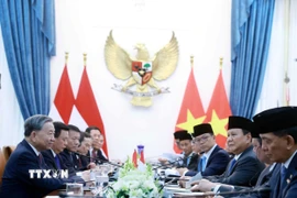 Tổng Bí thư Tô Lâm và Tổng thống Cộng hòa Indonesia, Chủ tịch Đảng Phong trào Indonesia vĩ đại (Gerindra) Prabowo Subianto hội đàm. (Ảnh: Thống Nhất/TTXVN)