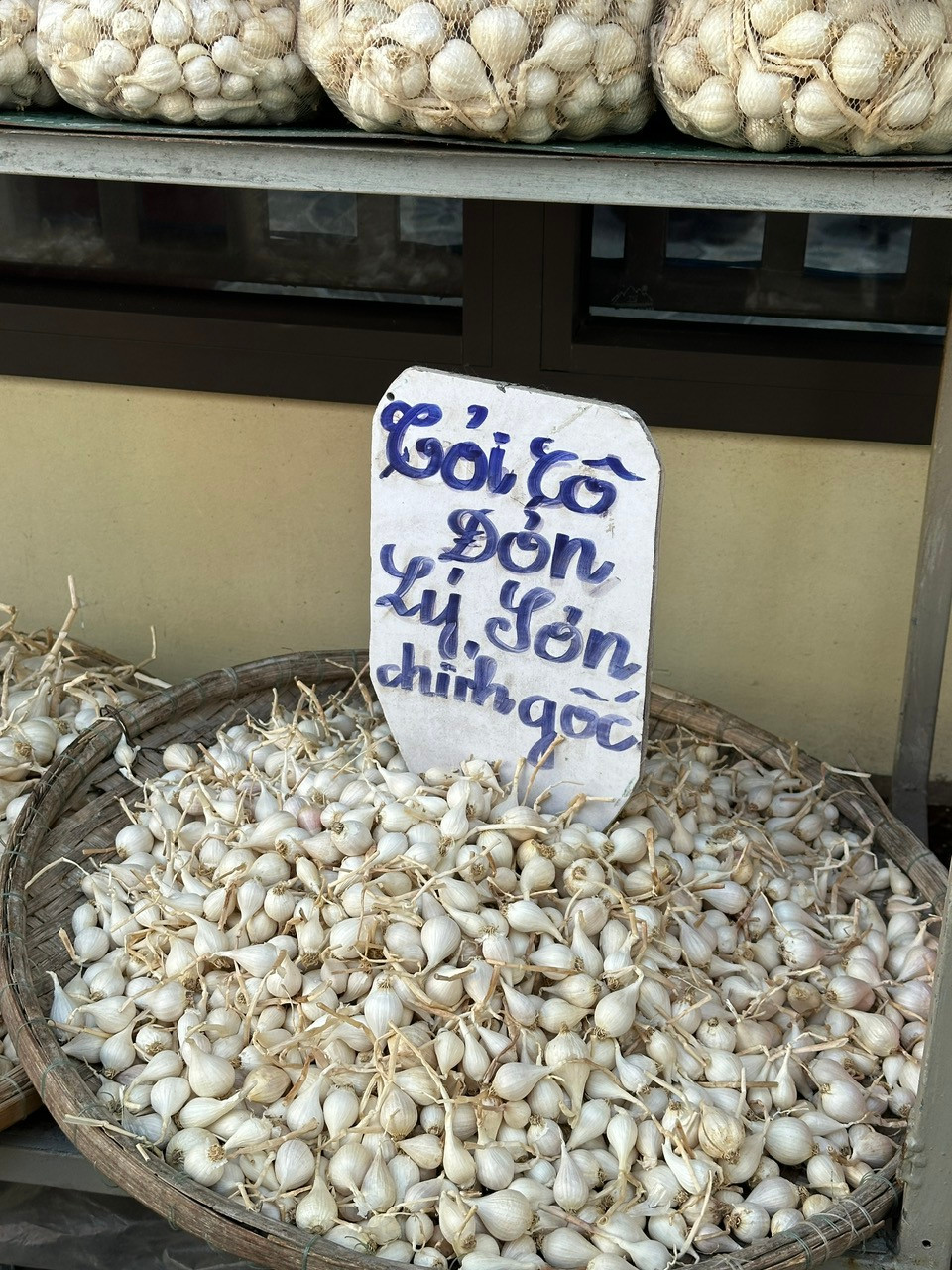 Với thổ nhưỡng đặc biệt, nên cây tỏi Lý Sơn luôn có sản lượng cao, chất lượng thơm ngon nổi tiếng. (Ảnh: PV/Vietnam+)