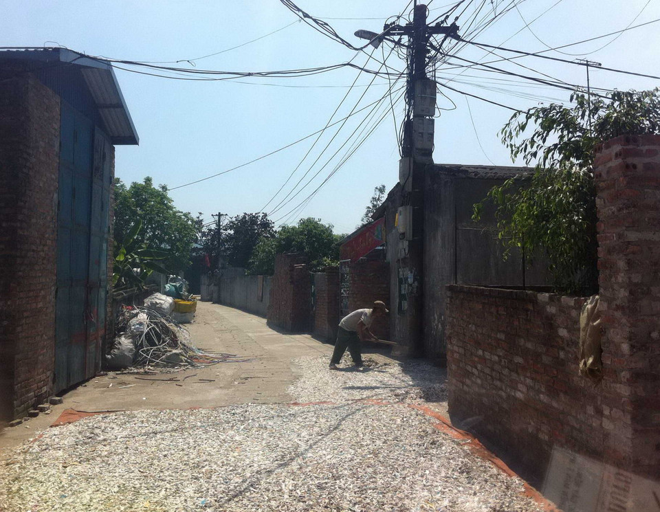 Tiếp đến là công đoạn được phơi khô. (Ảnh: Thùy Giang/Vietnam+)