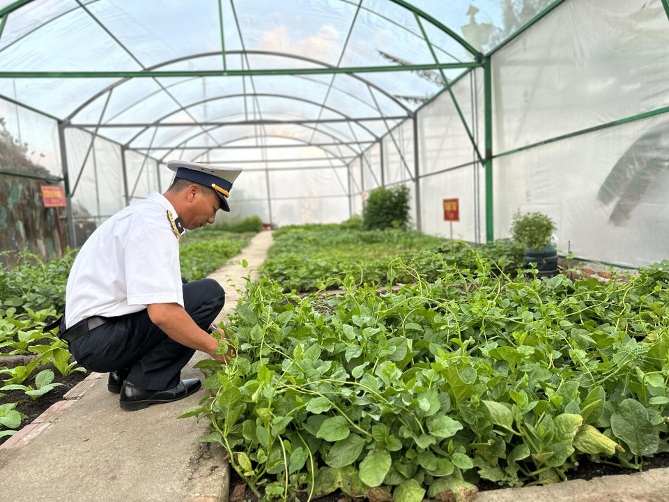 Chiến sỹ trên đảo Sinh Tồn Đông chăm sóc cho những luống rau xanh. (Ảnh: Thùy Giang/Vietnam+)