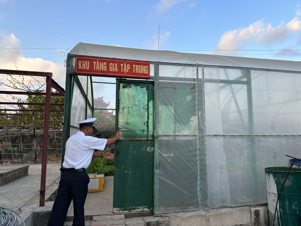 Các thành viên trong Đoàn công tác số 4/2023 vào cuối tháng Tư vừa qua có dịp được tham quan Khu tăng gia tập trung của các chiến sỹ trên đảo Sinh Tồn Đông. Bên ngoài khu trồng rau là toàn bê tông và cốt thép, nhưng khi cánh cửa mở ra là cả một mảng xanh hút tầm mắt. (Ảnh: Thùy Giang/Vietnam+)