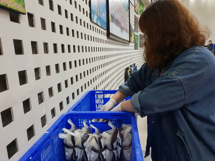 Số lượng máu do người hiến tình nguyện ngày càng nhiều. (Ảnh: PV/Vietnam+)