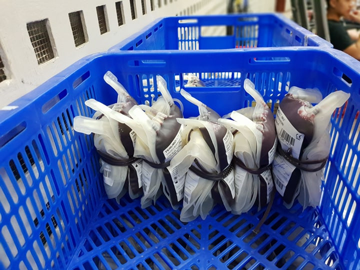 Những bịch máu thu được từ Ngày hội Xuân hồng. (Ảnh: PV/Vietnam+)