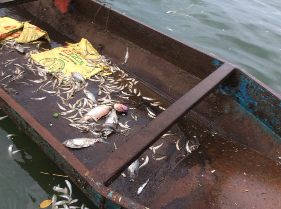 (Ảnh: Sơn Bách/Vietnam+)