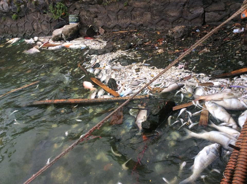 (Ảnh: Sơn Bách/Vietnam+)