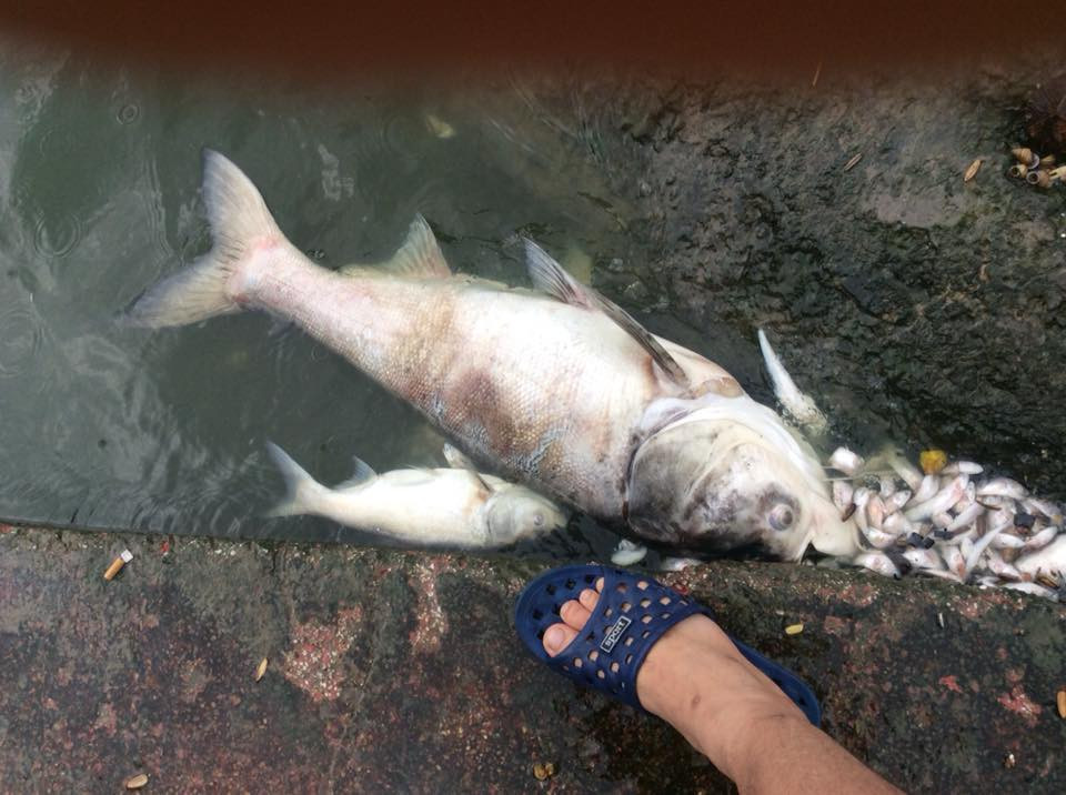 (Ảnh: Sơn Bách/Vietnam+)