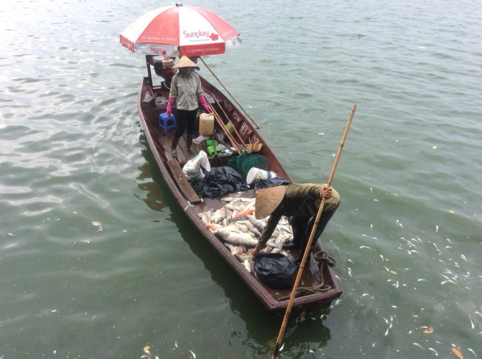 (Ảnh: Sơn Bách/Vietnam+)