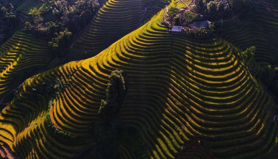 (Ảnh: Vũ Bắc/Vietnam+)