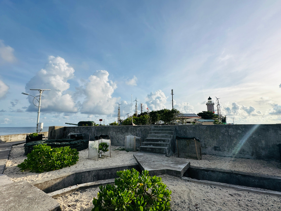 Những cây bão táp được trồng trên Đảo An Bang. (Ảnh: Thùy Giang/Vietnam+)