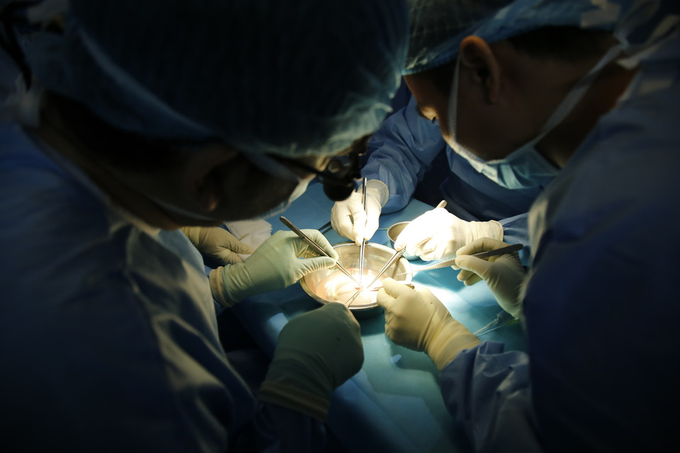 (Ảnh: PV/Vietnam+)