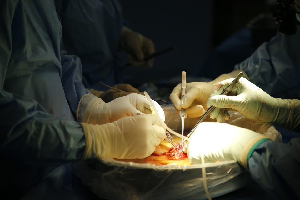 Các bác sỹ thực hiện ca ghép ruột. (Ảnh: PV/Vietnam+)