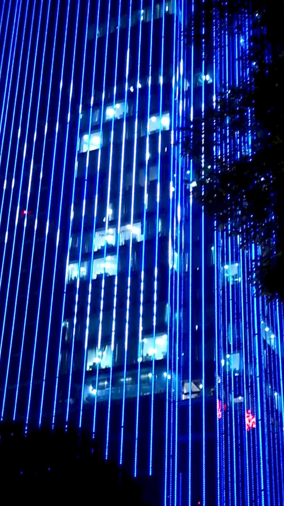  Màu xanh lam (blue) là màu cơ bản trong quang phổ được người tự kỷ nhận biết dễ nhất trong các màu. (Ảnh: Nguyễn Linh Giang/Vietnam+)