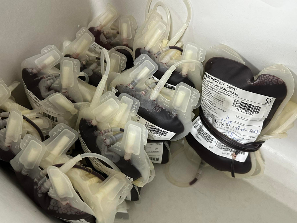 (Ảnh: PV/Vietnam+)