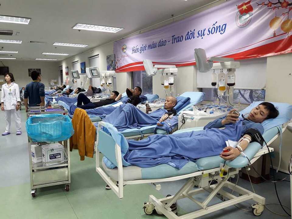 Hàng trăm người hiến tiểu cầu tại Viện Huyết học-Truyền máu Trung ương. (Ảnh: PV/Vietnam+)