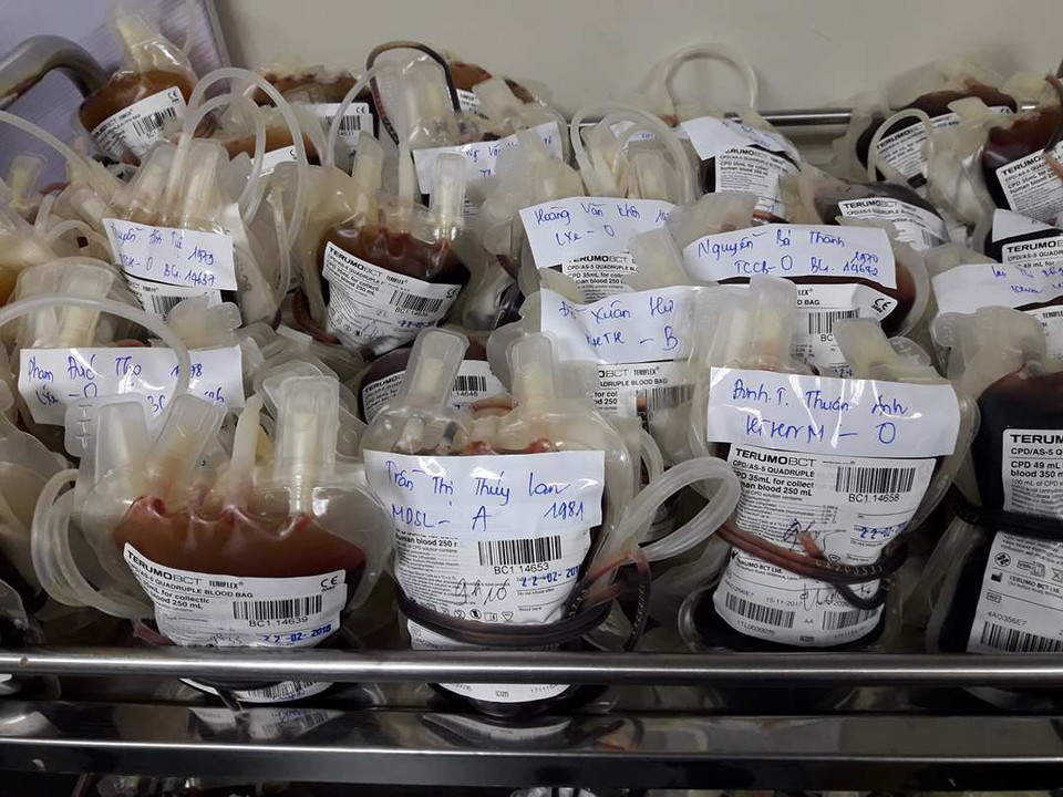 Hàng trăm bịch máu đã được dự trữ. (Ảnh: PV/Vietnam+)