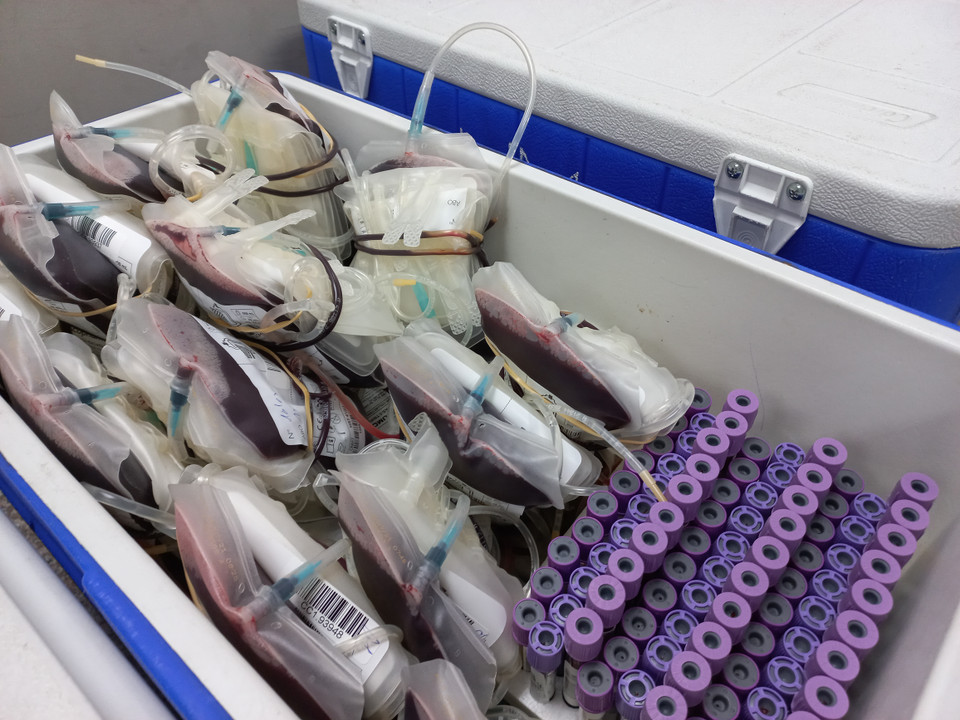 Những túi máu thu được tại Lễ hội. (Ảnh: PV/Vietnam+)