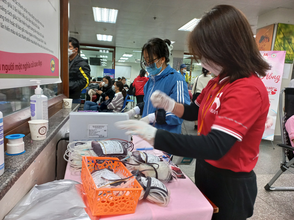 Lễ hội Xuân hồng” tổ chức để giải quyết tình trạng thiếu nguồn cung cấp máu ngay sau Tết Nguyên đán hàng năm. (Ảnh: PV/Vietnam+)