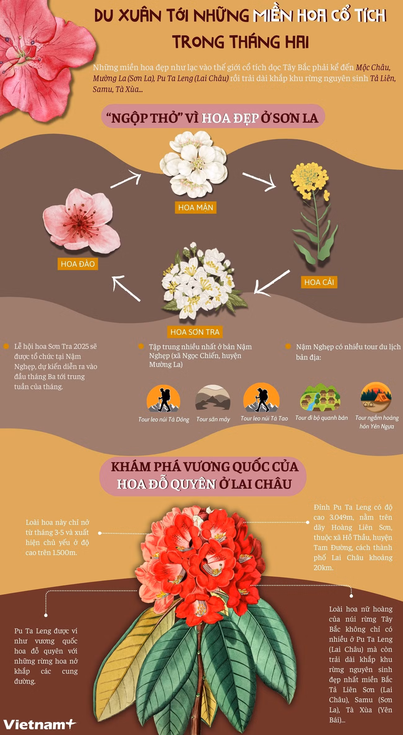 info-mua-hoa-1.jpg