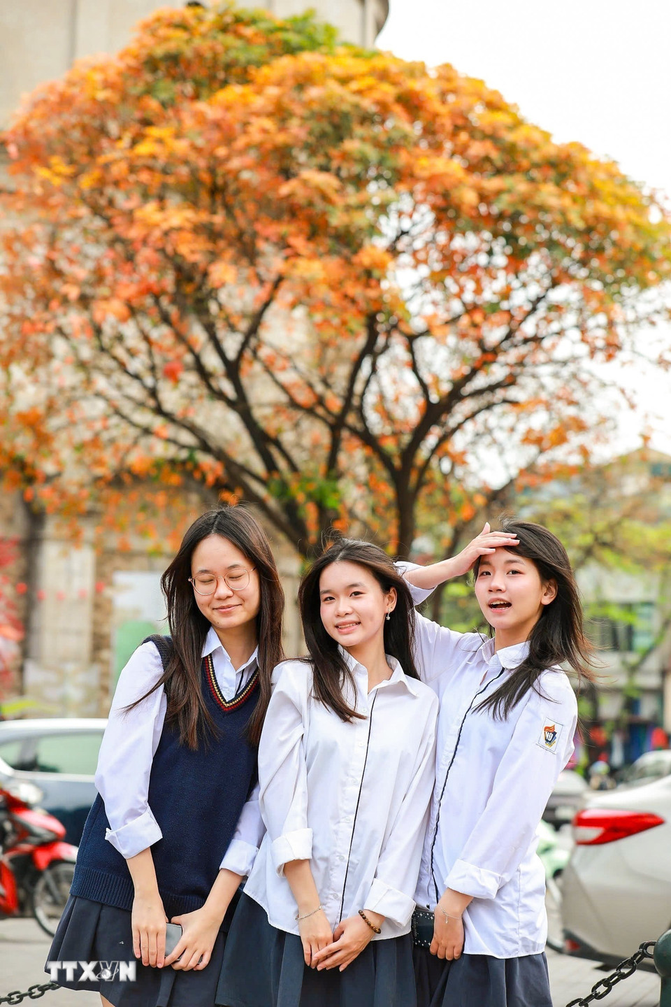 Các bạn trẻ lưu lại khoảnh khắc nên thơ sắc lá vàng của mùa cây thay lá. (Ảnh: Khánh Hòa/TTXVN)