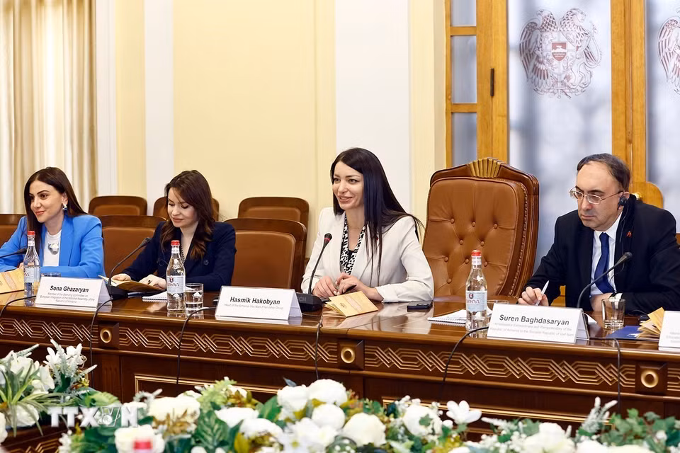 Trưởng Nhóm nghị sỹ hữu nghị Armenia - Việt Nam Hasmik Hakobyan phát biểu. (Ảnh: Doãn Tấn/TTXVN)