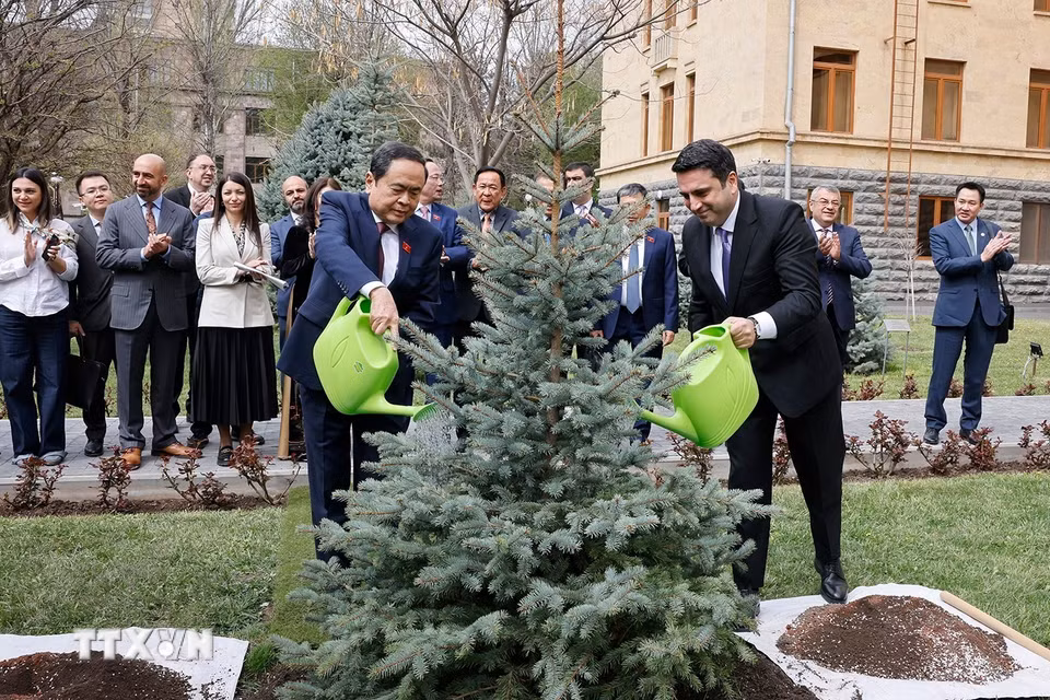 Chủ tịch Quốc hội Trần Thanh Mẫn và Chủ tịch Quốc hội Armenia Alen Simonyan trồng cây lưu niệm biểu tượng cho tình hữu nghị Armenia-Việt Nam. (Ảnh: Doãn Tấn/TTXVN)