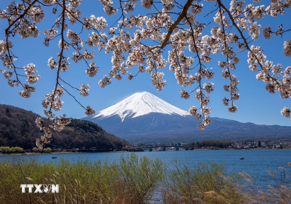 Núi Phú Sĩ nhìn từ hồ Kawaguchi. (Ảnh: Xuân Giao/TTXVN)