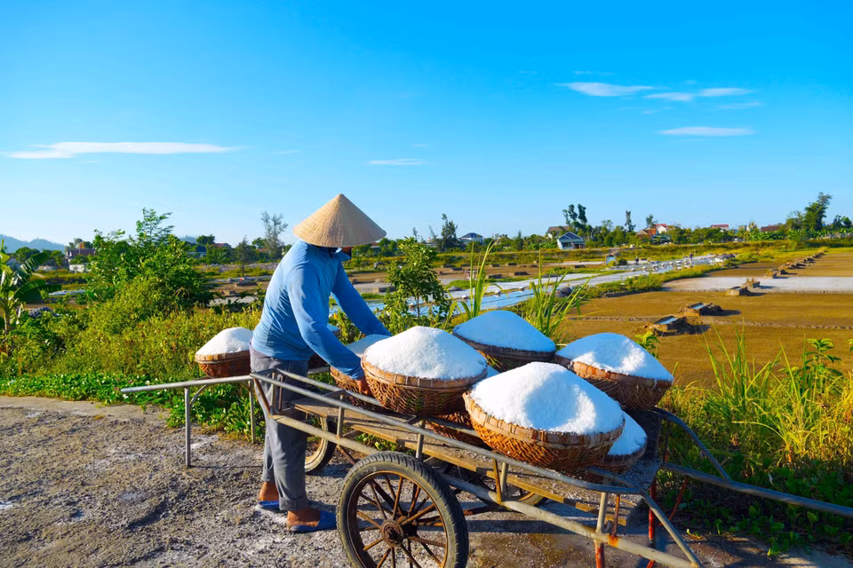 Trung bình trong những ngày nắng nóng diêm dân có thể sản xuất từ 2-3 tạ muối. (Ảnh: Hữu Quyết/TTXVN)