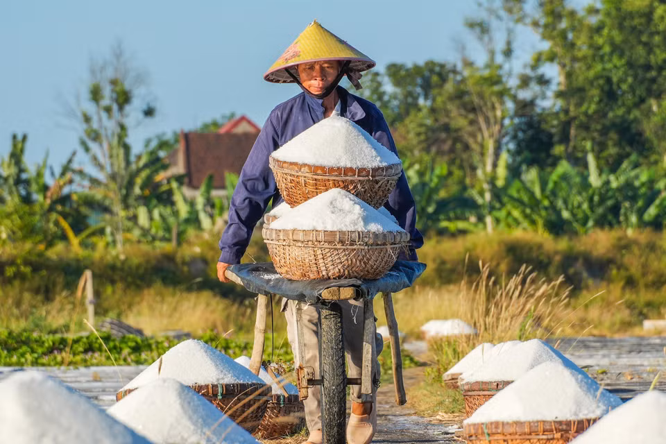 Dù thu nhập thấp nhưng người dân Châu Hạ vẫn giữ nghề muối truyền thống. (Ảnh: Hữu Quyết/TTXVN)