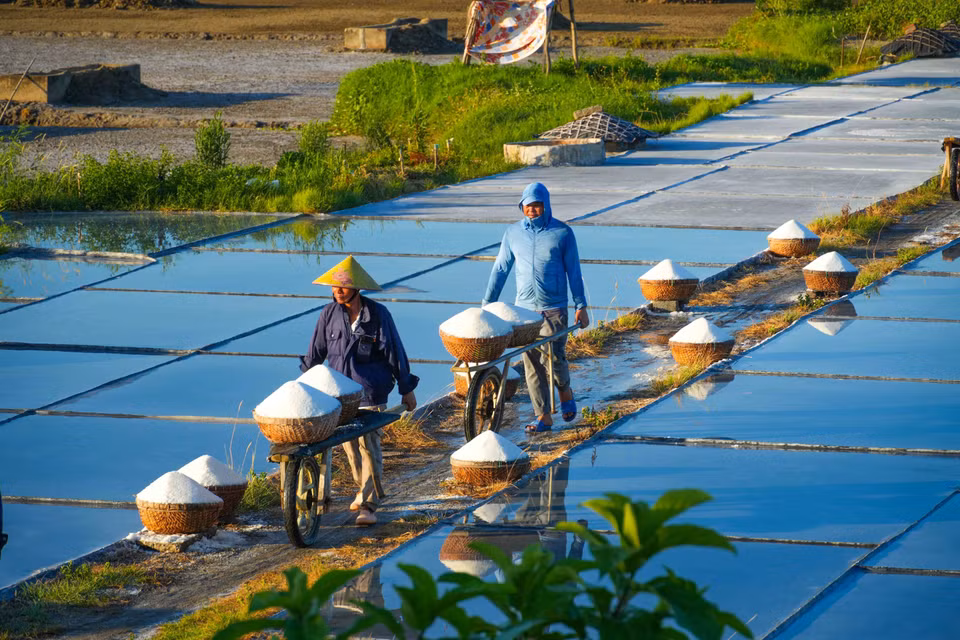 Người dân vận chuyển muối từ nơi sản xuất về nhà. (Ảnh: Hữu Quyết/TTXVN)