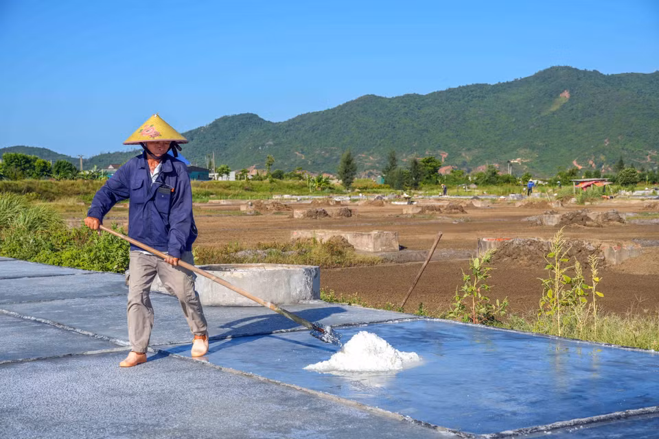 Hiện nay chỉ còn những lao động cao tuổi tham gia sản xuất ở làng muối Châu Hạ. (Ảnh: Hữu Quyết/TTXVN)