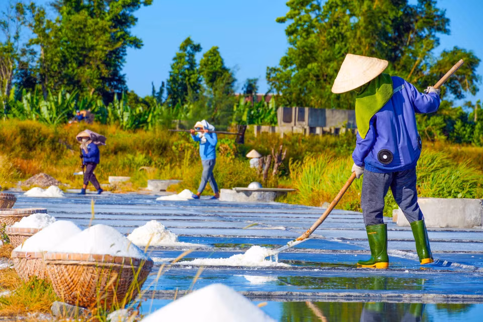 Những hạt muối trắng kết tinh từ nước biển và công sức của người dân. (Ảnh: Hữu Quyết/TTXVN)