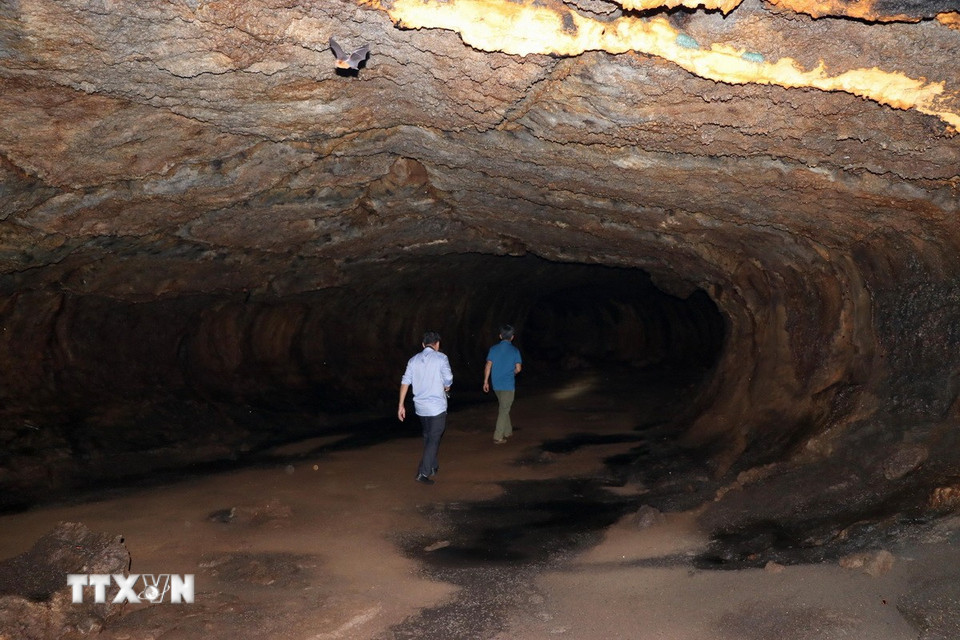 Các nhà khảo sát Viện Sinh học Nhiệt đới và Hội hang động Berlin (Cộng hòa Liên bang Đức) đã nghiên cứu khảo sát tổng cộng 11 ống hang dung nham với tổng chiều dài 1,8km. (Ảnh: Sỹ Tuyên/TTXVN)