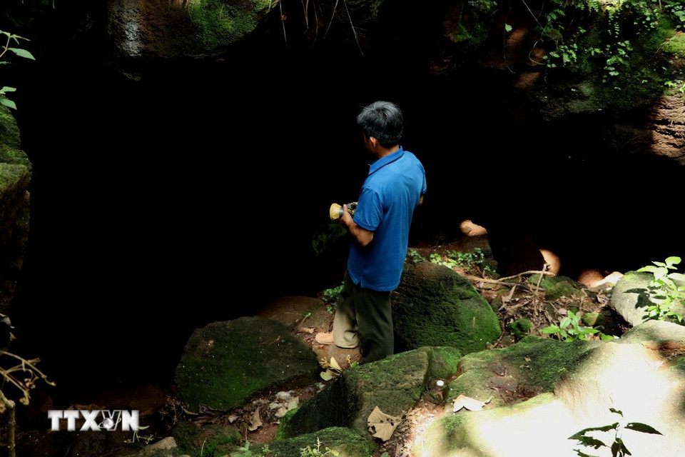Cửa vào "hang Dơi 1" khá rộng. (Ảnh: Sỹ Tuyên/TTXVN)