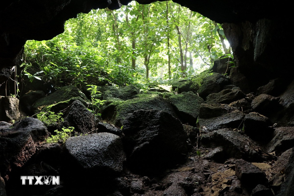 Khu vực cửa vào "hang Dơi 1", hang động được các nhà khảo sát Viện Sinh học Nhiệt đới và Hội hang động Berlin (Cộng hòa Liên bang Đức) đánh giá hang dung nham dài nhất khu vực Đông Nam Á. (Ảnh: Sỹ Tuyên/TTXVN)