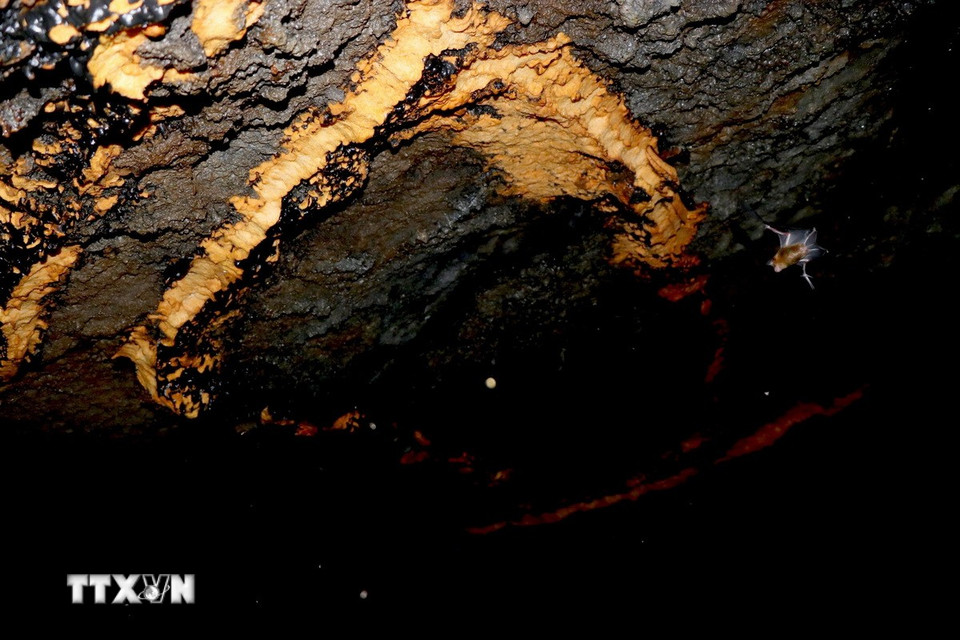 Phía vòm trên của hang dung nham có những lớp đá màu vàng nâu và màu vàng óng trông rất đẹp. (Ảnh: Sỹ Tuyên/TTXVN)