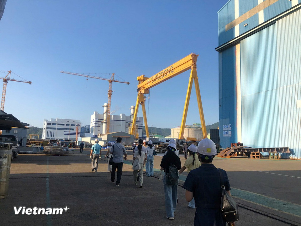 Đoàn công tác của Trung tâm Bản quyền số cùng các đơn vị truyền thông, đại diện 1 số sở ban ngành của tỉnh Quảng Trị và Thành phố Huế đã có buổi tham quan tại Nhà máy DHI. (Ảnh PV/Vietnam+)